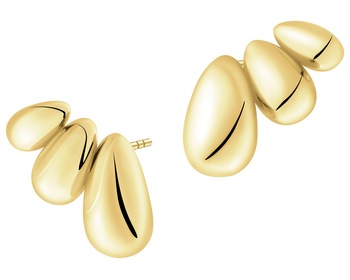 Gold-Plated Silver Earrings 