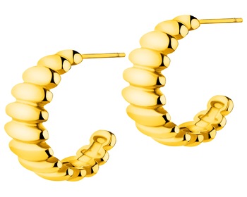 Stainless Steel Earrings 